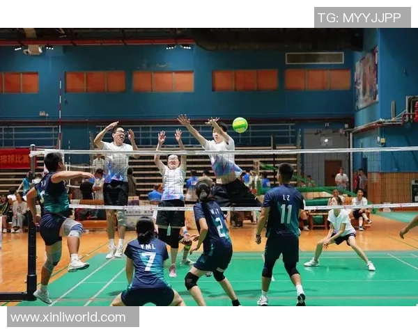 广州排球队技术解析：从基本功到战术运用的全面探讨与提升